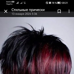 ���� ��������, �����������, 51 ��� - ��������� 25 ������ 2026