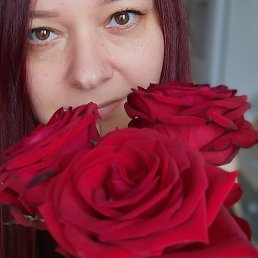 ���������, ���������, 42 ����