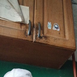 , 53, 