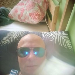 ����, 41 ���, �����