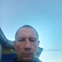 , 44, 