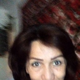 , 52, 