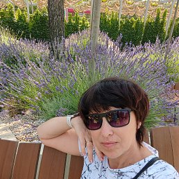 , 50, -