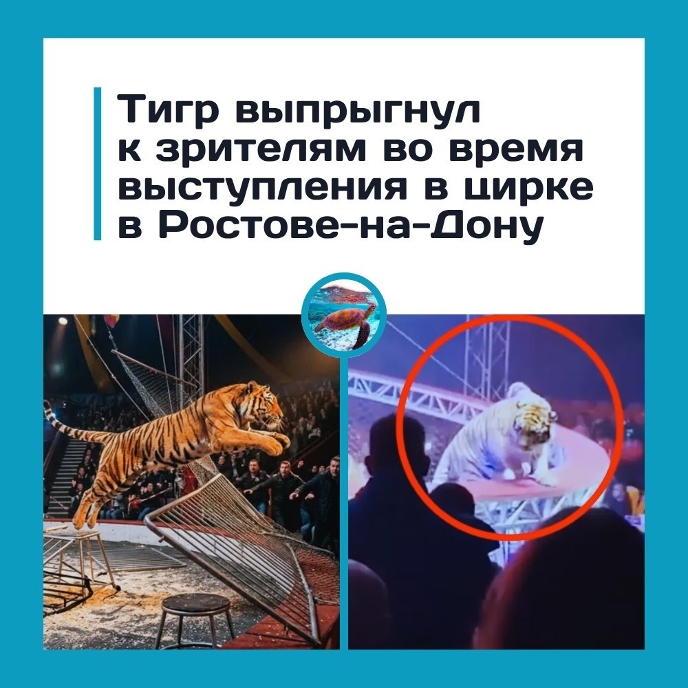 ��p�e �oc�o�a-�a-�o�� ���p ���p����� � �p��e����� �a�.o �pe�� ��p�o�o�o ��c����e��� � �oc�o�e�a�o�� ... - 3
