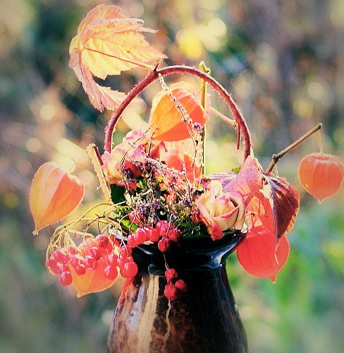 Грусть накроет порой в дни дождливые, А в погожих пейзаж величав. Встретив Осень такую красивую, И ...