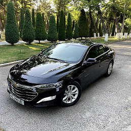 ���������, ������, 25 ���