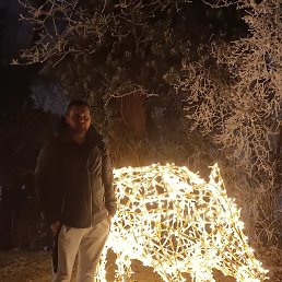 , 30, 