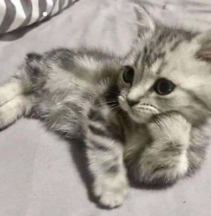  -  !
