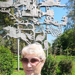 , 53,  