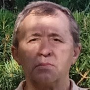 , 55 , 