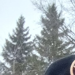 ������, ������, 41 ���