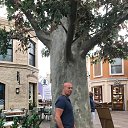 ���� Roman, ������, 52 ���� - ��������� 7 �������� 2025