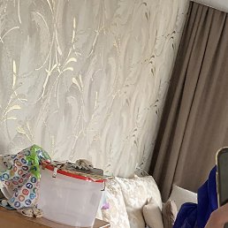 ����, �������, 52 ����