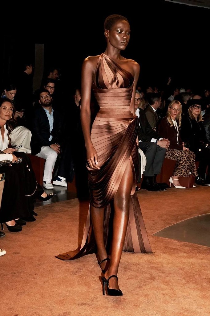   ,     Schiaparelli - 4