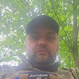 , 40, 