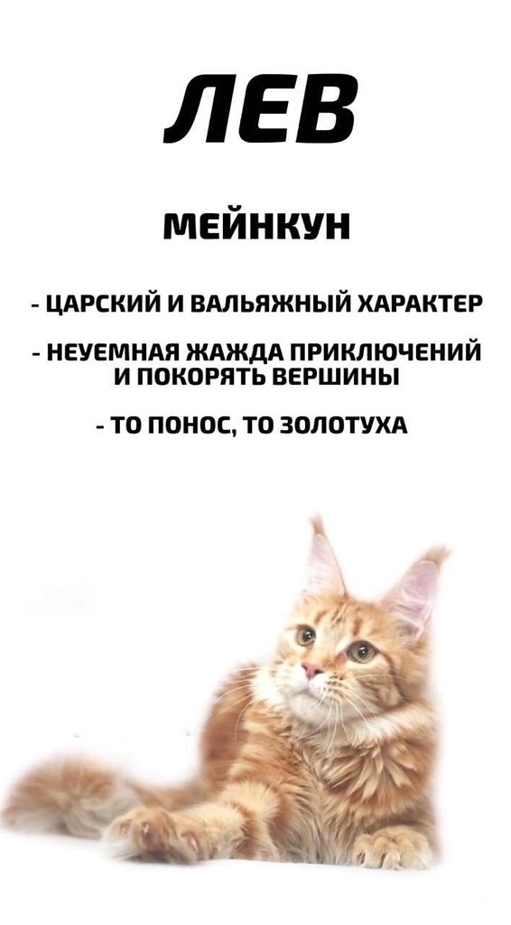       - 2