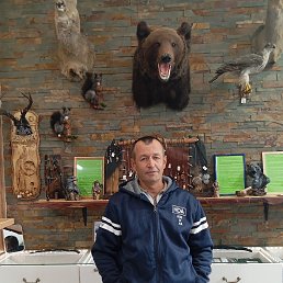 ����, 47 ���, �������