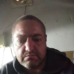 �������, 44 ����, ��������