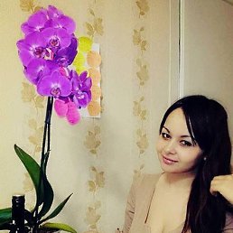 ��������, ������, 40 ���