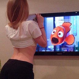 �����, ������������, 28 ���