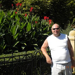 ����, �����������, 64 ����