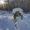 ���� Oleg, ������, 52 ���� - ��������� 21 ������� 2023 � ������ ������ ��������
