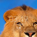 ���� ������, ������, 39 ��� - ��������� 7 ������� 2024