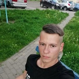 , 29, 