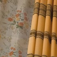 ������, 49 ���, ������