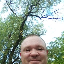 , 46, 