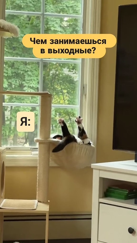 ������� � ��������: - 2