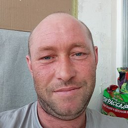 ������, ����, 37 ���