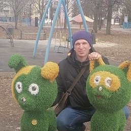 , 53, 