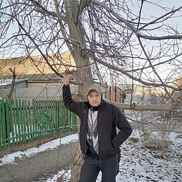 ������, ����-���, 35 ���