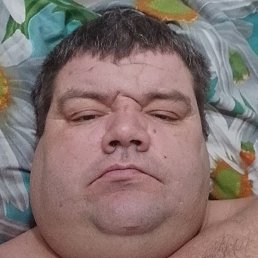 ��������� �����, ������, 41 ���