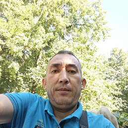 , 40, 