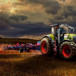 �����, ������ �����, 39 ���