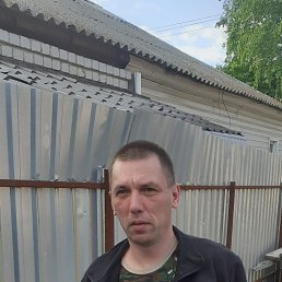 , 44, 
