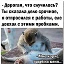 ���� �����, ������ - ��������� 13 ������ 2024 � ������ ���� ����������