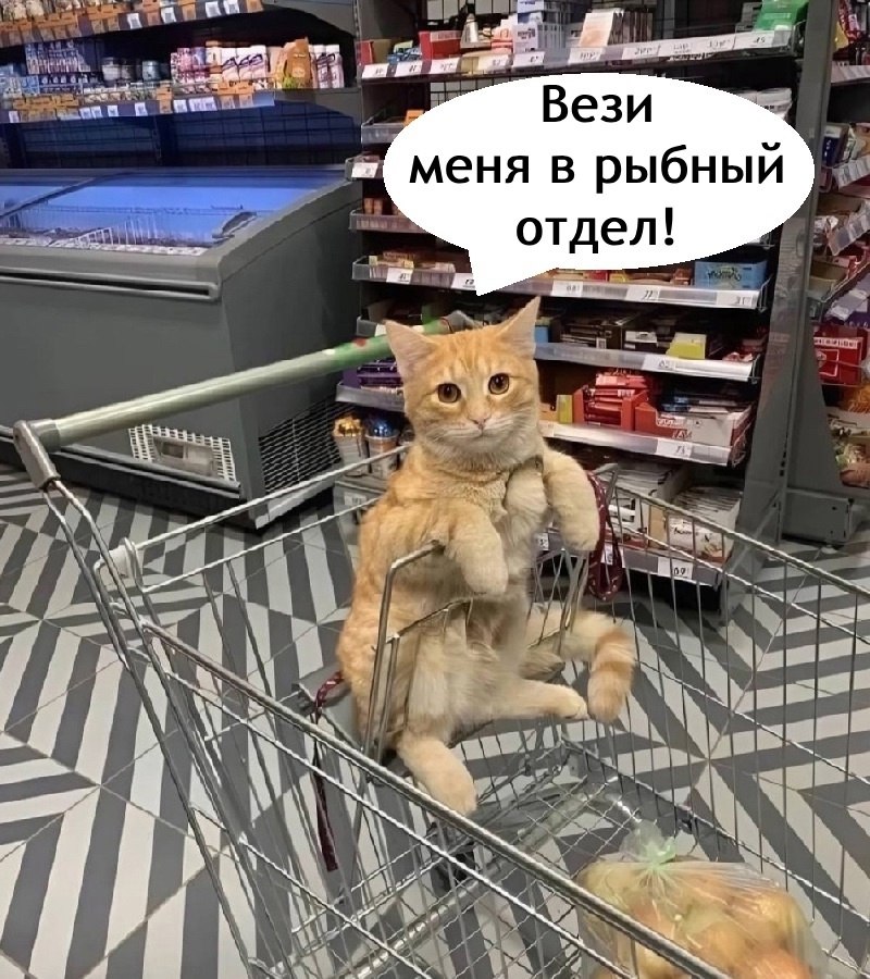       - 23  2025  20:00