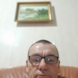 , 54, -