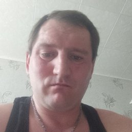 , , 41 