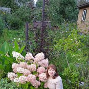 ����, 64 ����, ������� ��������