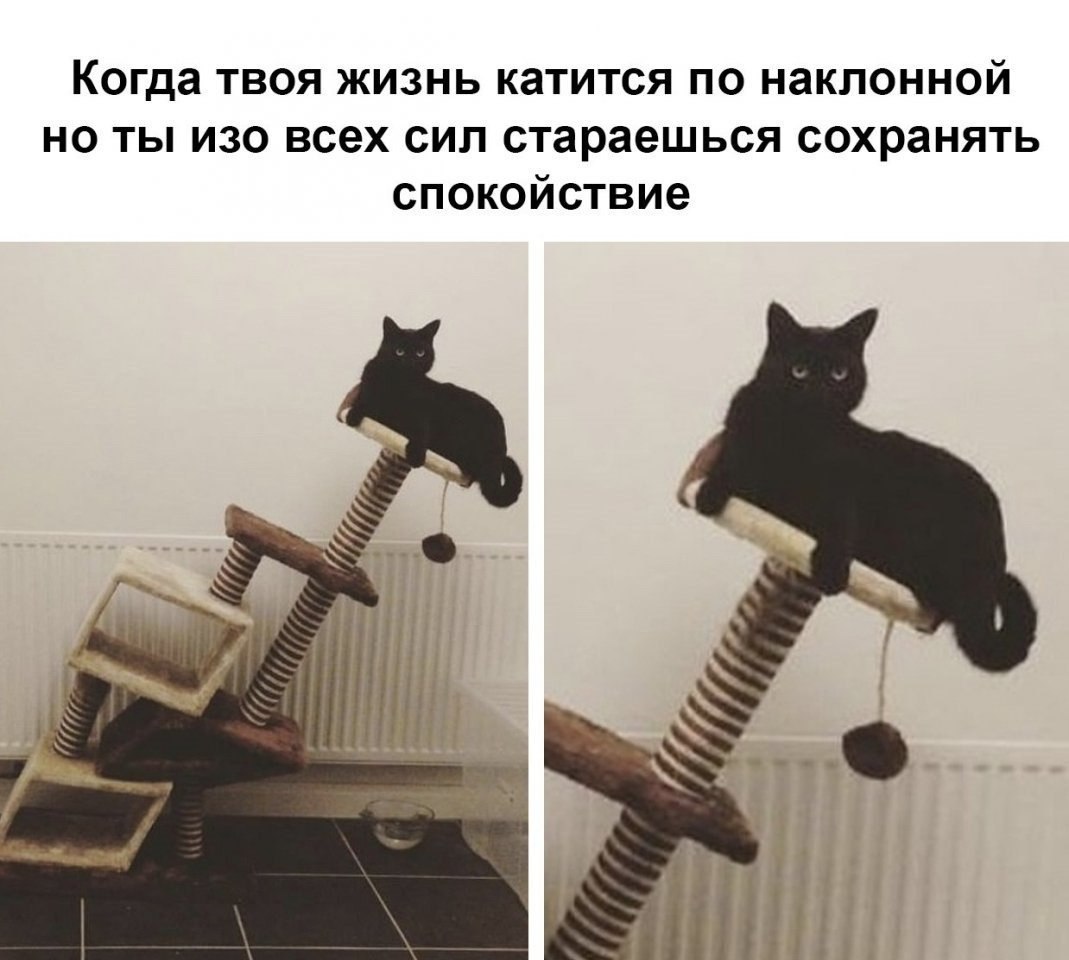   - ,   .       ?  ...