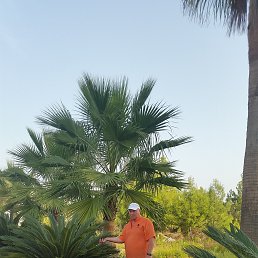 , 65 , 