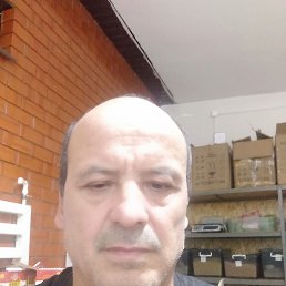 , 55, 