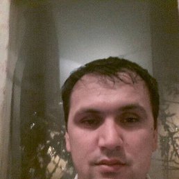 , 41 , -