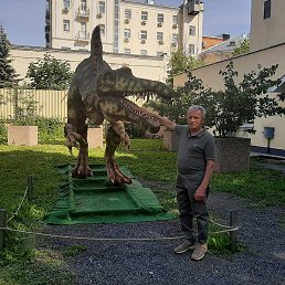 Wldimir, ������, 61 ���