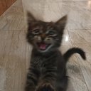 ���� �����, ������, 62 ���� - ��������� 1 ������� 2025 � ������ ������ ��������