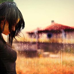 ���������, ���������, 40 ���